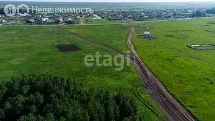 Участок в Тюменский район, деревня Большие Акияры (8.6 м) - Фото 1
