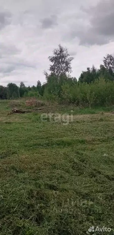 Участок в Калужская область, Жуковский район, Верховье с/пос, д. Трясь ... - Фото 0