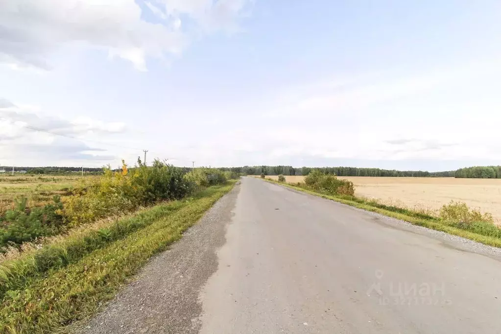 Участок в Тюменская область, Тюменский муниципальный округ, Каменское ... - Фото 0