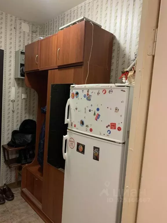 Студия Санкт-Петербург Тимуровская ул., 23к2 (28.0 м) - Фото 2