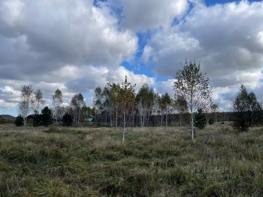 Участок в Новосибирская область, Новосибирский район, Кубовинский ... - Фото 0