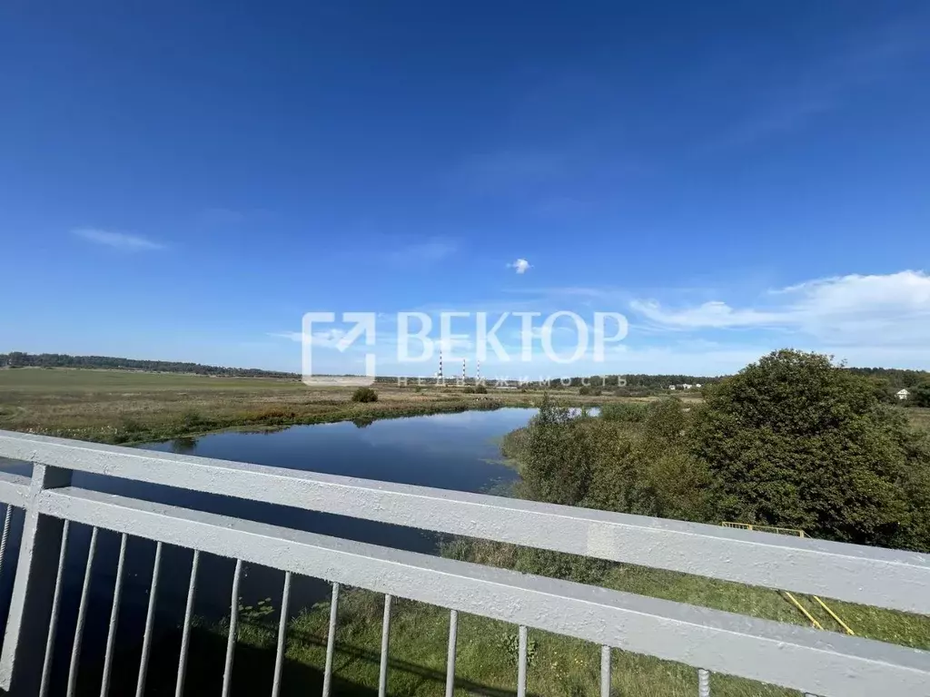 Участок в Костромская область, Красносельский район, Сидоровское ... - Фото 2