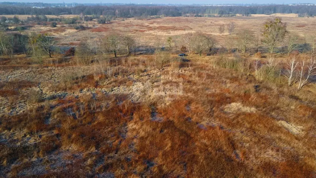 Участок в Калининградская область, Балтийский городской округ, пос. ... - Фото 2