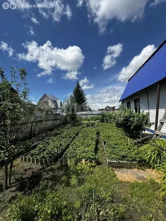 Дом в Криводановский сельсовет, садовое товарищество Сосна (64 м) - Фото 2
