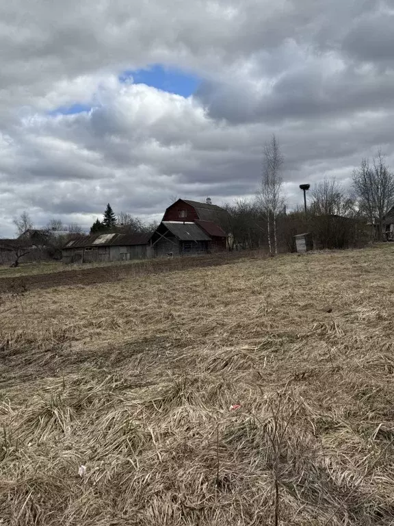 Участок в Ленинградская область, Лужский район, Дзержинское с/пос, д. ... - Фото 0