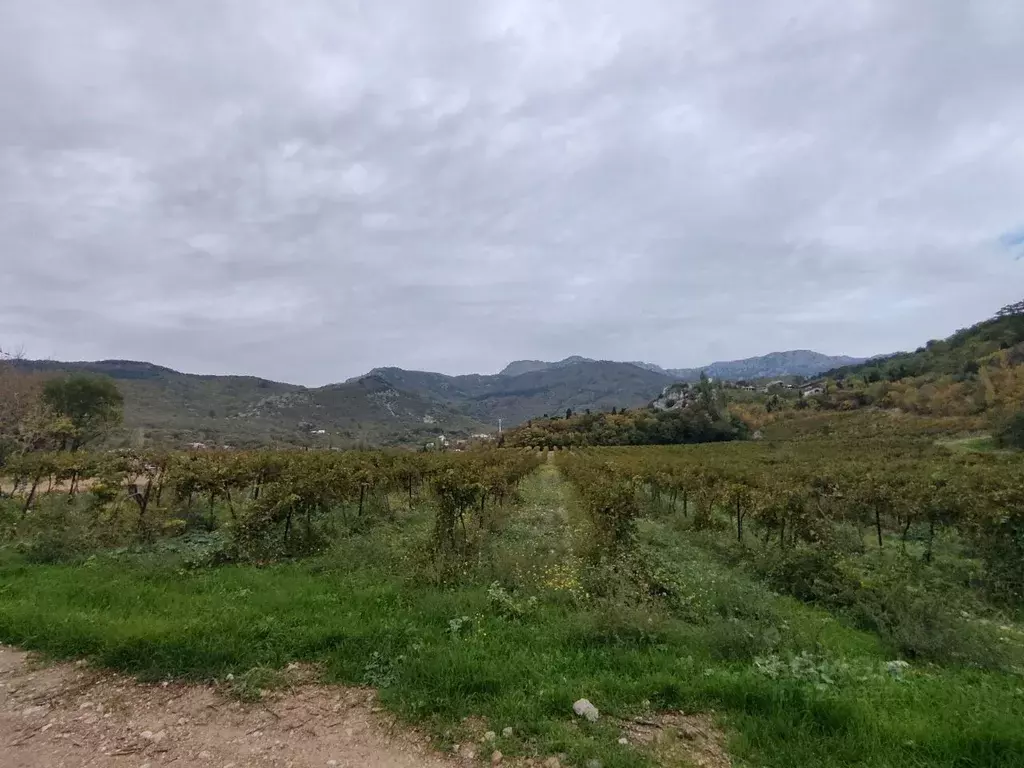 Участок в Крым, Ялта муниципальный округ, Голубой Залив пгт ул. ... - Фото 1