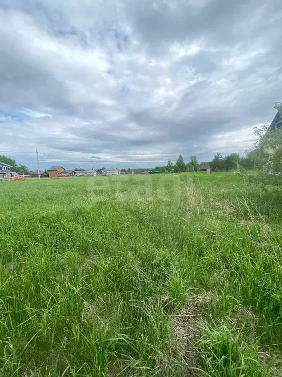 Участок в Новосибирская область, Новосибирский район, с. Кубовая ул. ... - Фото 2