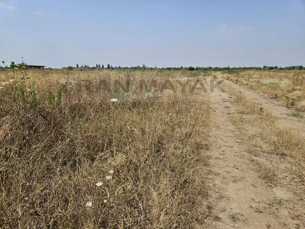Участок в Адыгея, Майкоп ул. Маршала Мерецкова (6.5 сот.) - Фото 1