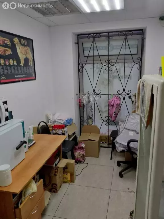 Офис (49 м) - Фото 1