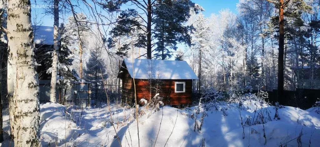 Дом в деревня Новогрудинина, Береговой переулок (22.2 м) - Фото 2