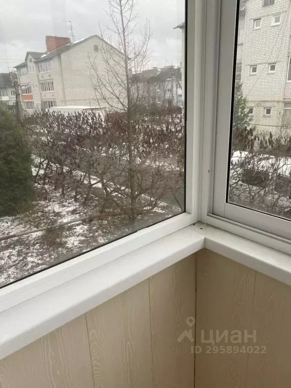 1-к кв. Брянская область, Брянский район, Добрунское с/пос, д. Добрунь ... - Фото 1