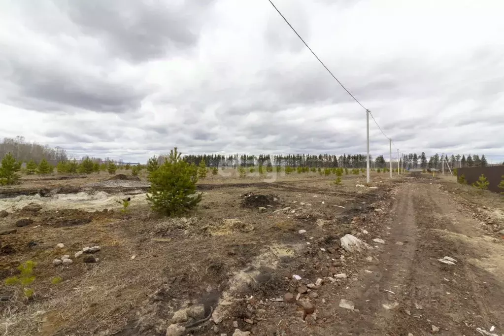 Участок в Тюменская область, Тюменский муниципальный округ, с. ... - Фото 1