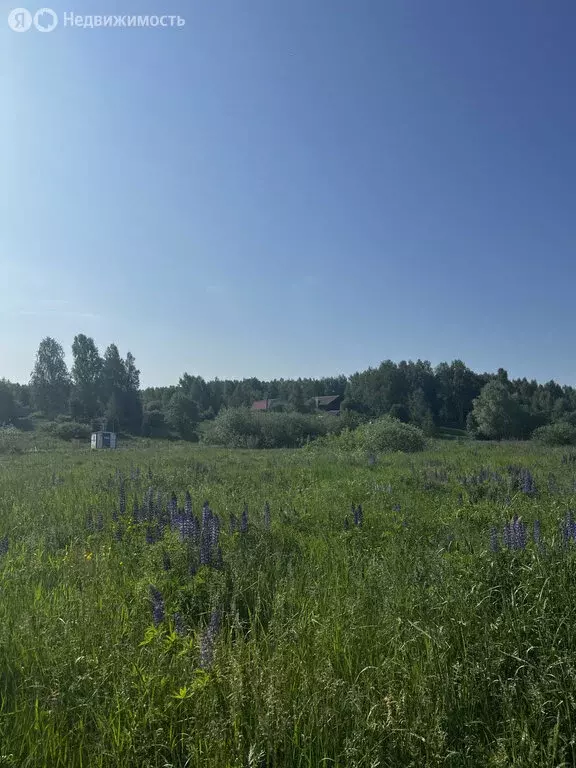 Участок в Нижегородская область, Богородский муниципальный округ, ... - Фото 0