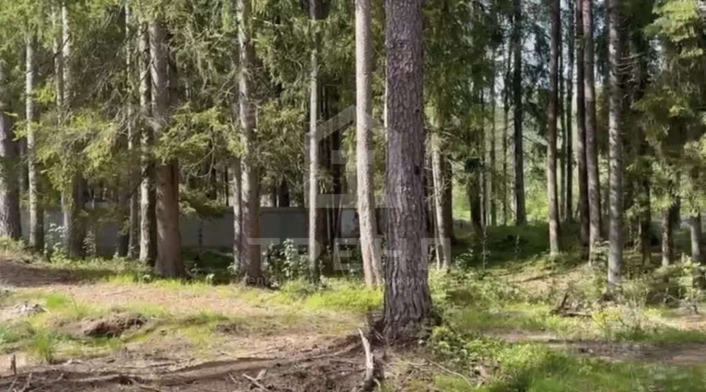 Участок в Ленинградская область, Выборгский район, Первомайское с/пос, ... - Фото 1
