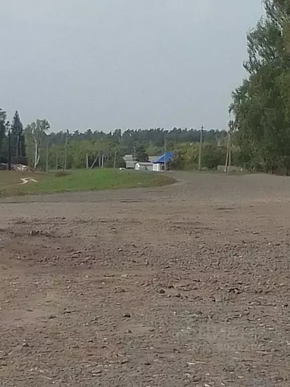 Дом в Алтайский край, Топчихинский район, с. Сидоровка  (65 м) - Фото 2