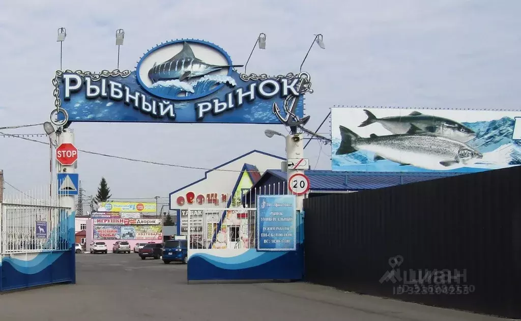 Склад в Омская область, Омск ул. 10 лет Октября, 207Ак2 (150 м) - Фото 1