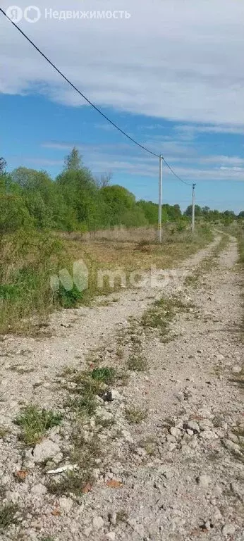 Участок в Калининградская область, Зеленоградский муниципальный округ, ... - Фото 0