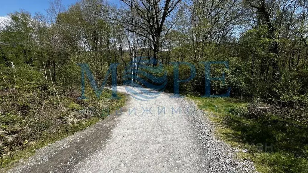 Участок в Краснодарский край, Сочи городской округ, с. Волковка  (6.0 ... - Фото 2