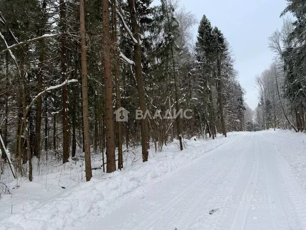 Участок в Московская область, Дмитровский городской округ, д. Сазонки, ... - Фото 1