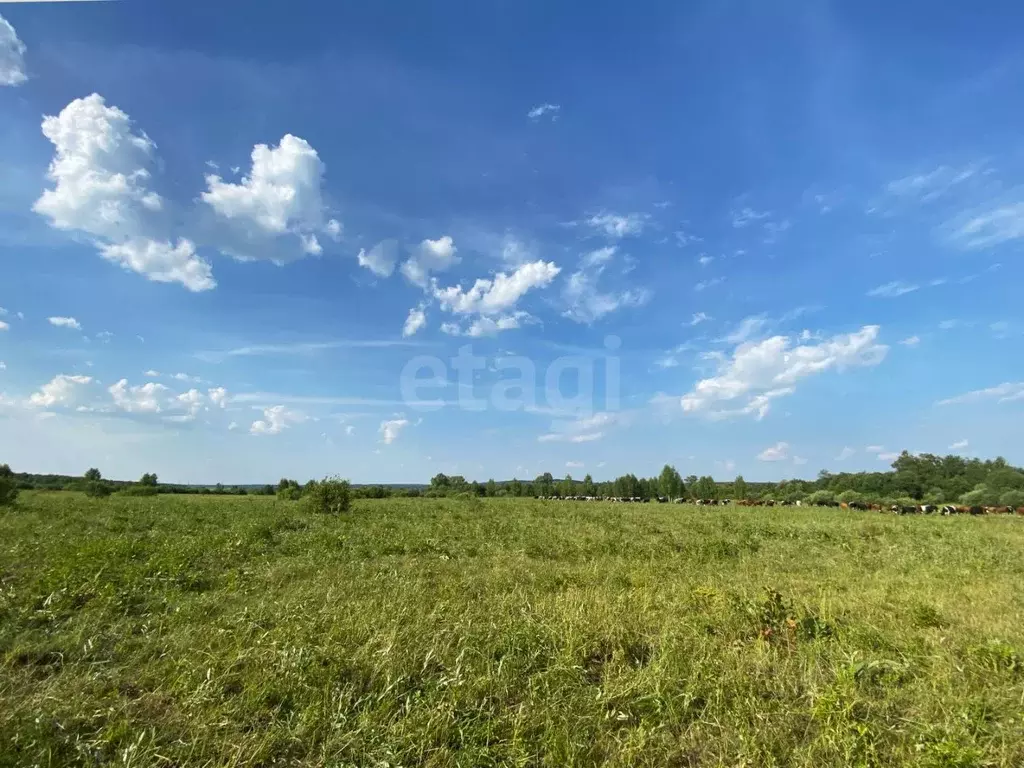 Участок в Башкортостан, Кармаскалинский район, Старомусинский ... - Фото 1