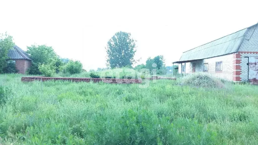 Дом в Белгородская область, Валуйский городской округ, Уразово рп ул. . - Фото 1