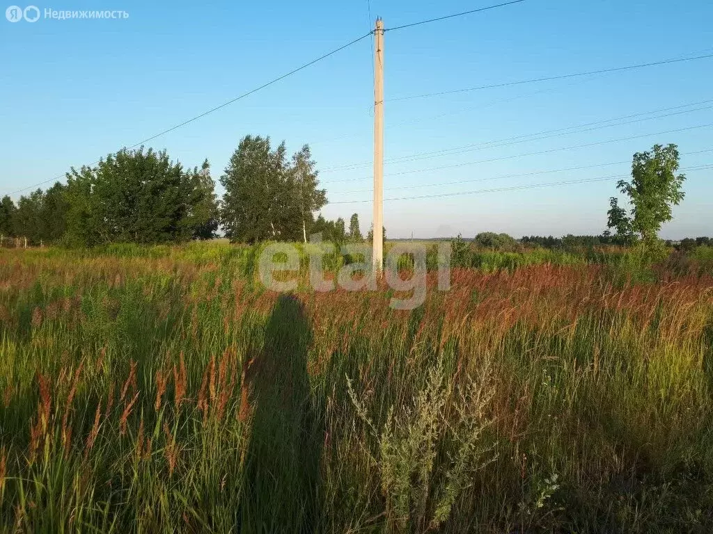 Участок в деревня Стаево, Зелёная улица (13.5 м) - Фото 1