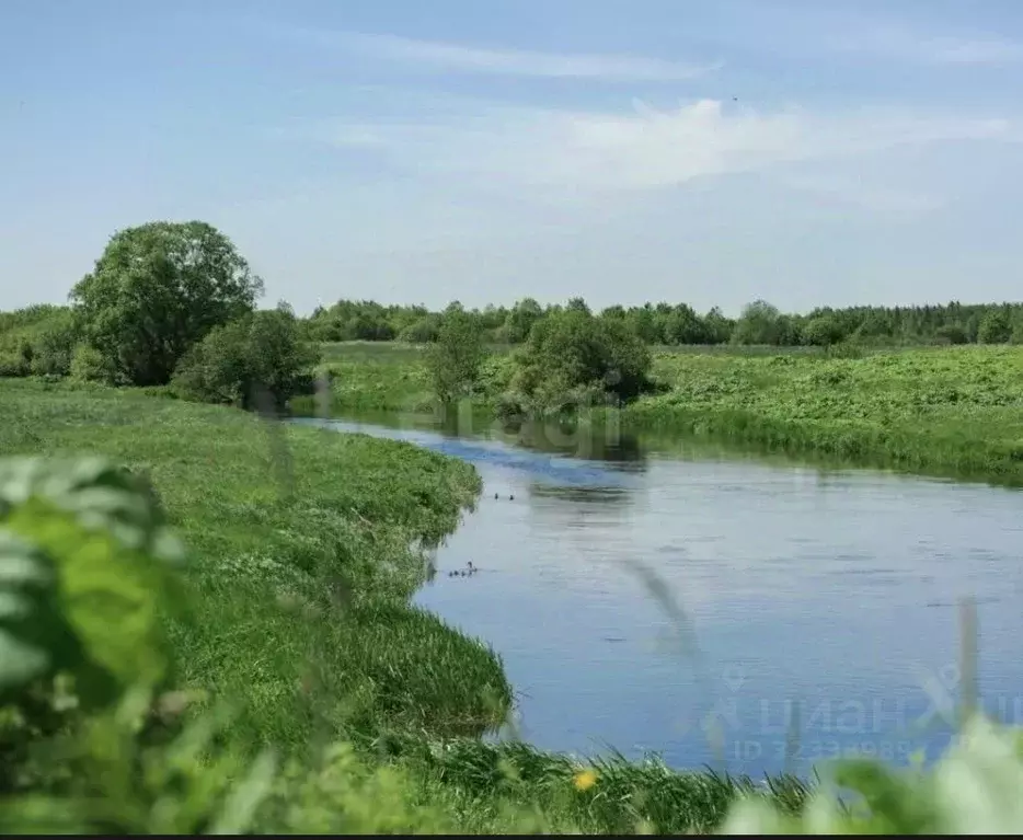 Участок в Ленинградская область, Тосненский район, Федоровское ... - Фото 2