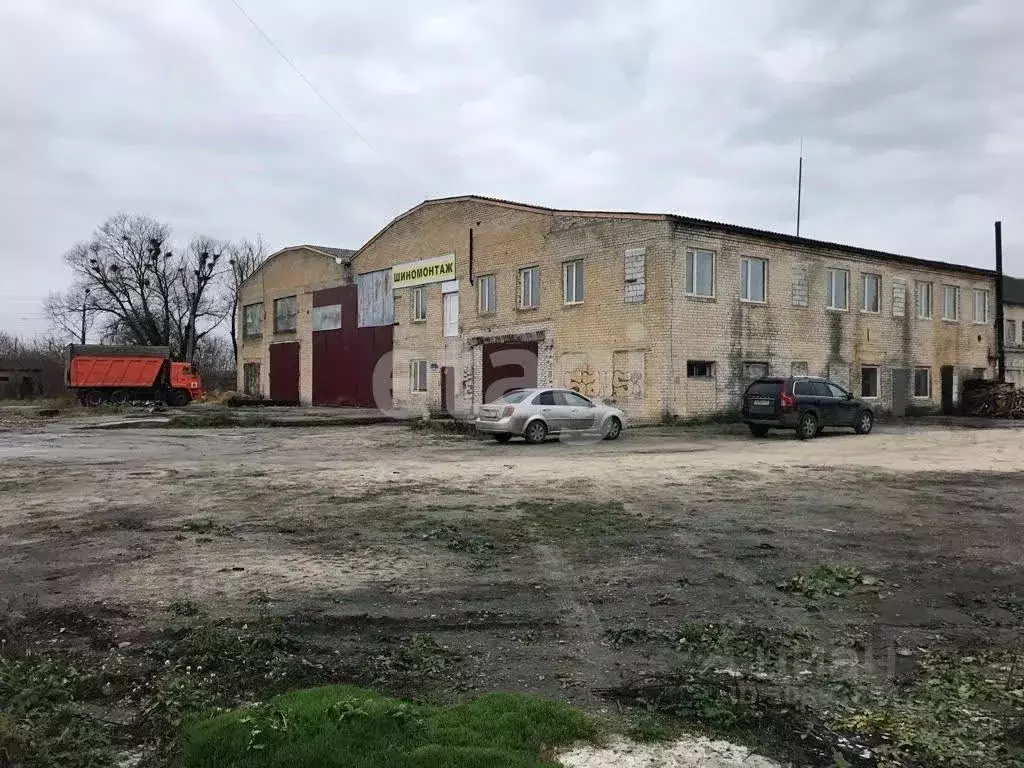 Склад в Брянская область, Погар рп ул. Вишневая, 1 (2800 м) - Фото 1