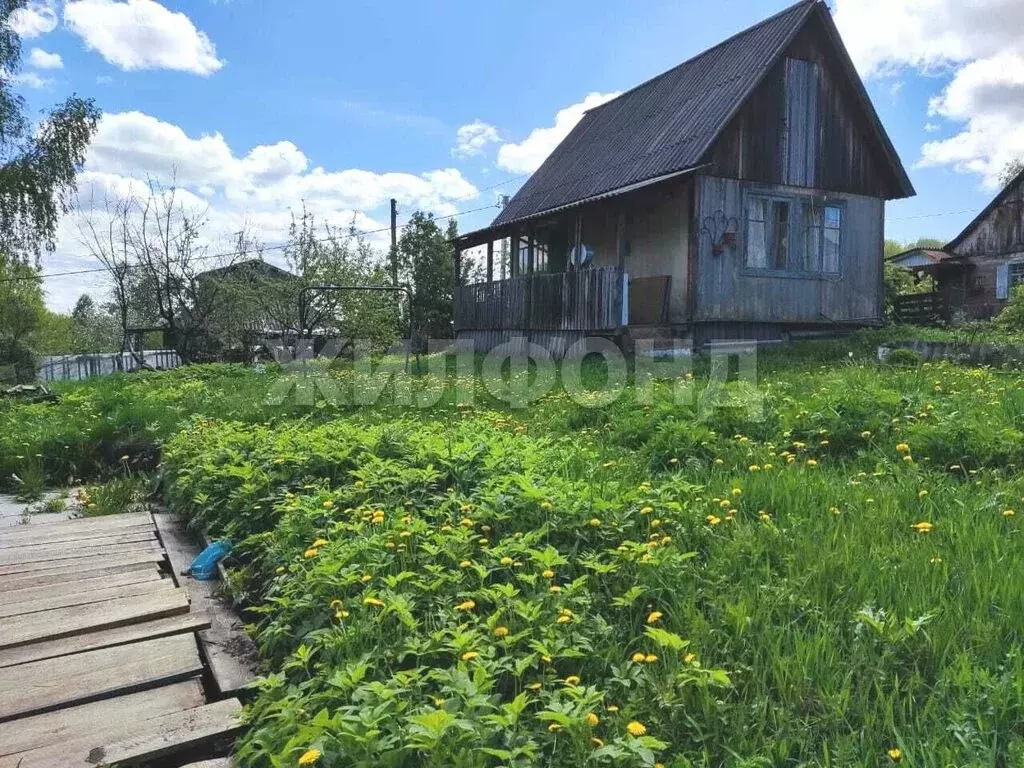 Дом в Новосибирск, садовое товарищество Труд (24 м) - Фото 1