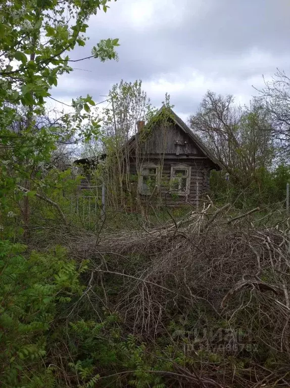 Дом в Московская область, Клин городской округ, д. Гологузово  (11 м) - Фото 1