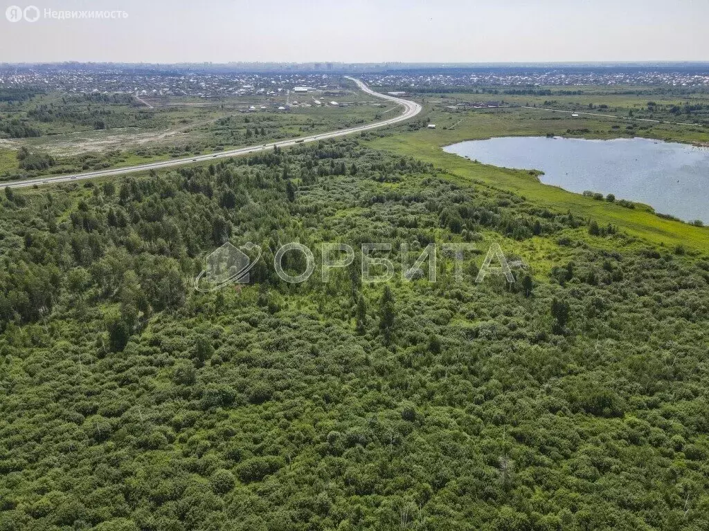 Участок в СНТ Березняки (10 м) - Фото 2