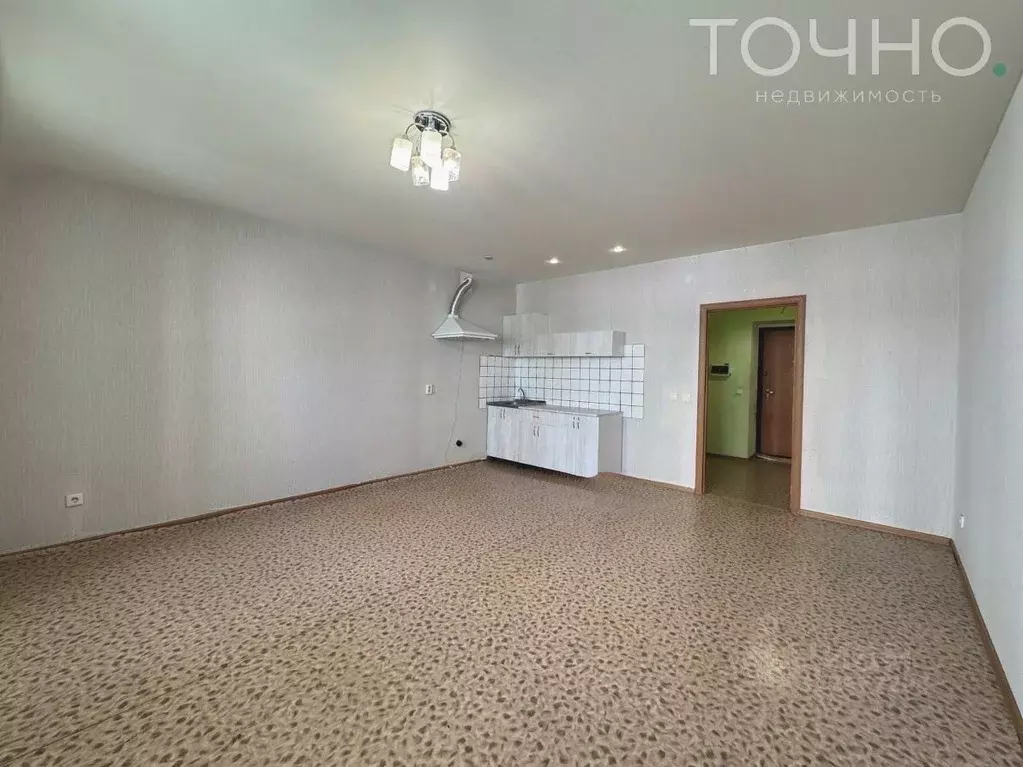 Студия Пензенская область, Пензенский район, Засечный сельсовет, с. ... - Фото 2