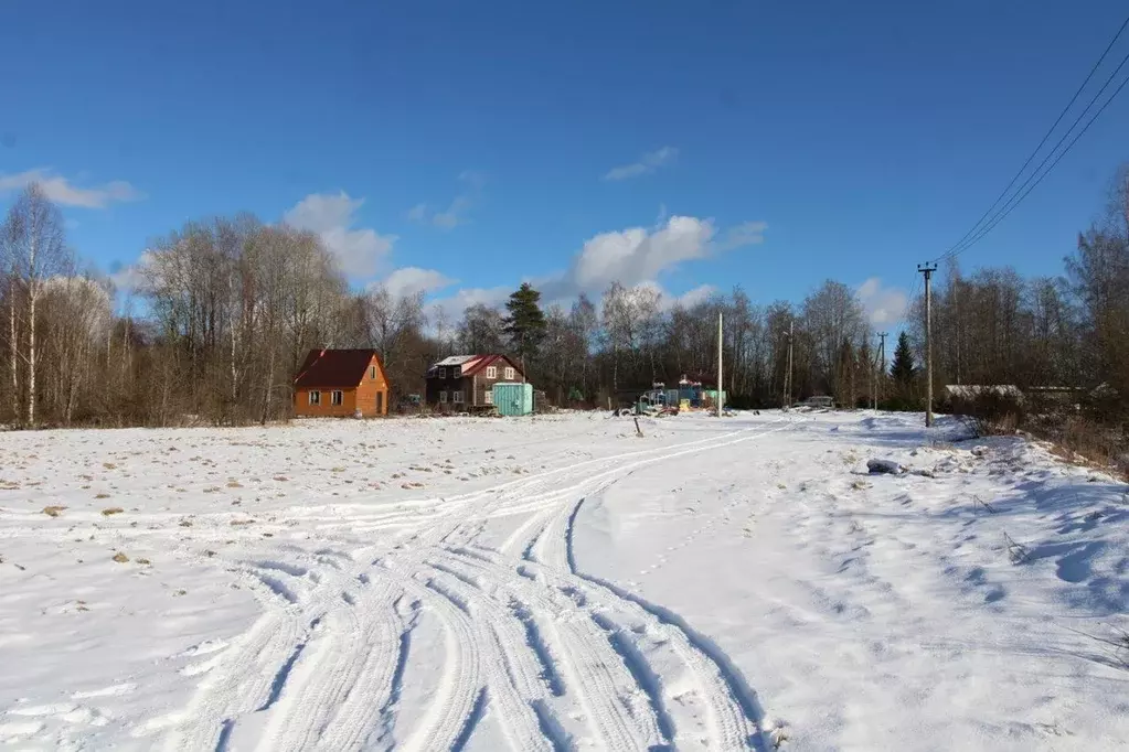 Участок в Ленинградская область, Выборгский район, Каменногорское ... - Фото 1