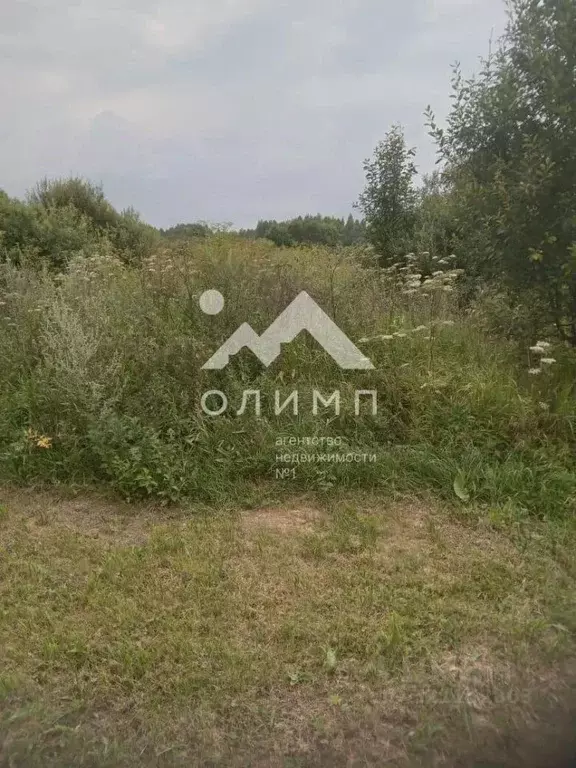 Участок в Ярославская область, Ярославский муниципальный округ, д. ... - Фото 2