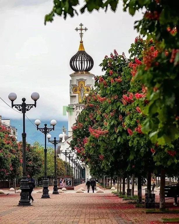 1-к кв. Краснодарский край, Новороссийск Суворовская ул., 19 (30.8 м) - Фото 0