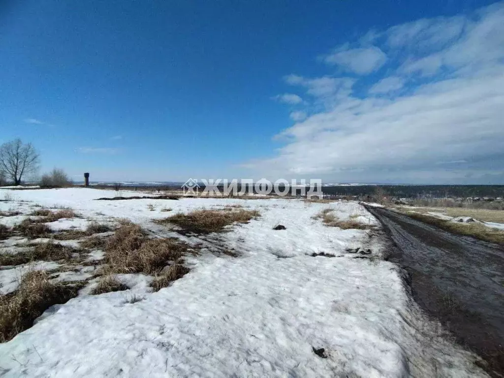 Участок в Кемеровская область, Кемеровский район, с. Силино Трудовая ... - Фото 0