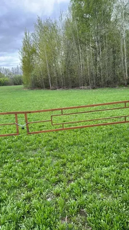 Участок в Марий Эл, Звениговский район, Кокшамарское с/пос, д. Уржумка ... - Фото 2
