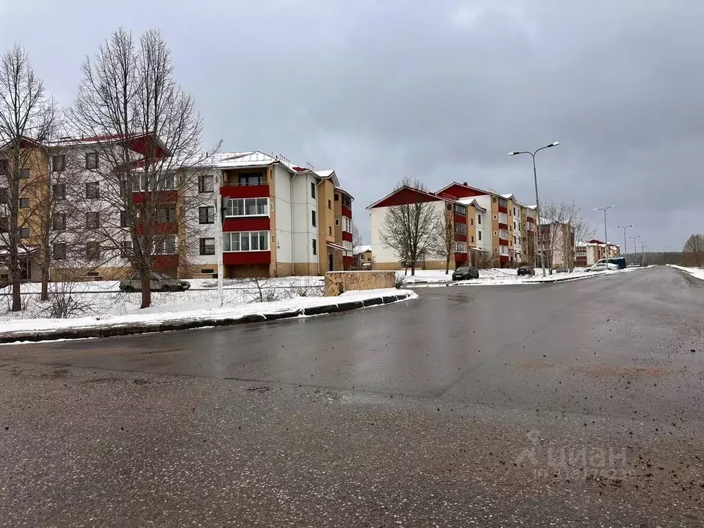 2-к кв. Тверская область, Андреаполь ул. Авиаторов, 30 (56.0 м) - Фото 1
