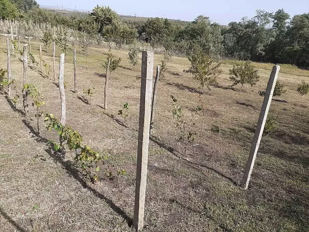 Участок в Краснодарский край, Анапа муниципальный округ, Верхний Чекон ... - Фото 1