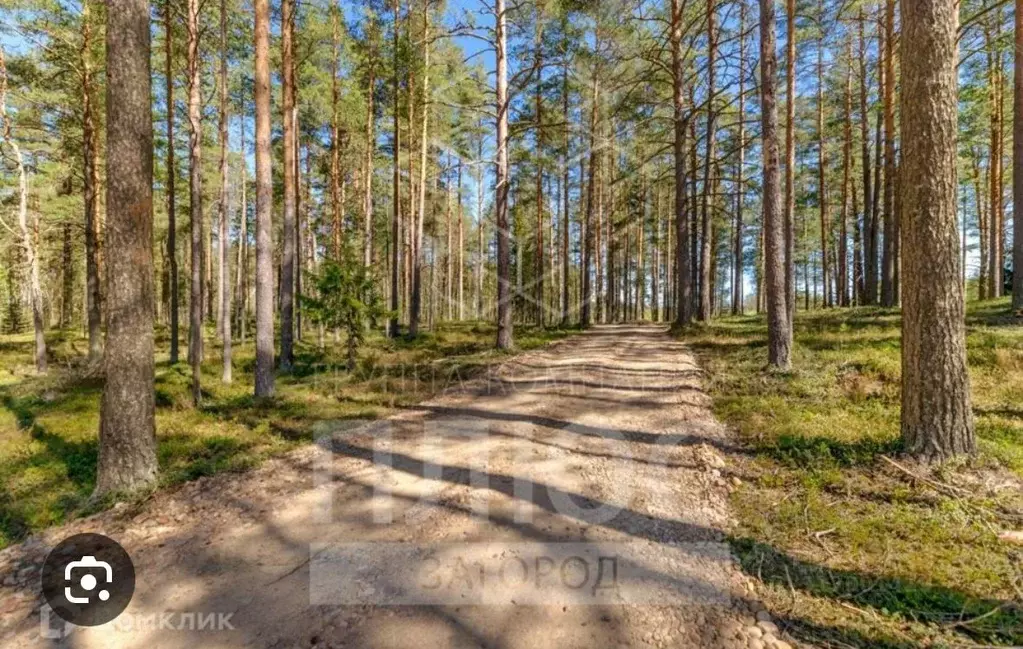 Участок в Ленинградская область, Всеволожский район, Куйвозовское ... - Фото 0