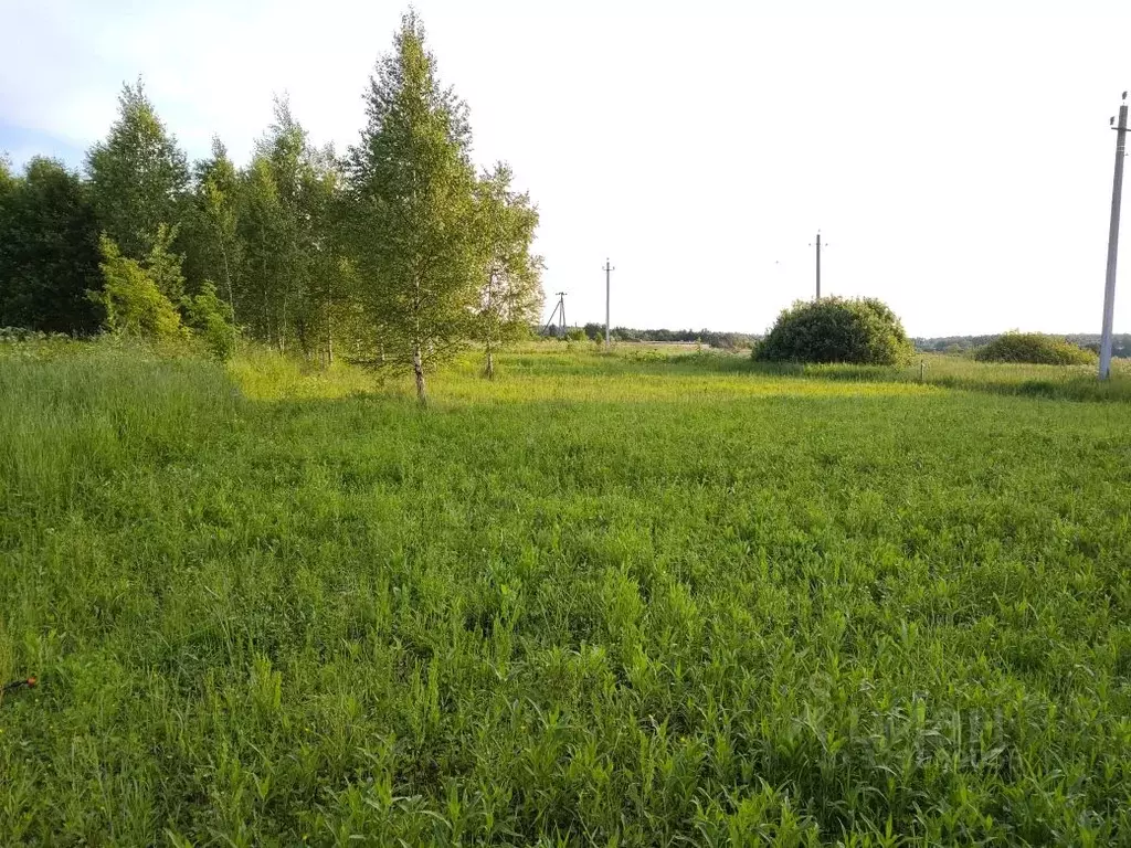 Участок в Калужская область, Жуковский район, с. Тарутино Совхозная ... - Фото 2