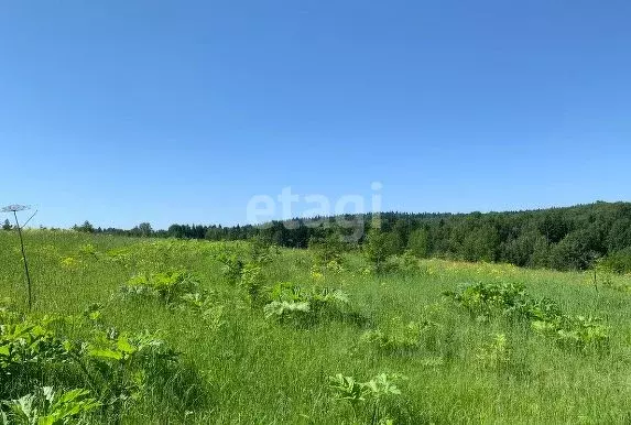 Участок в Пермский край, Пермский муниципальный округ, д. Пашня  ... - Фото 2