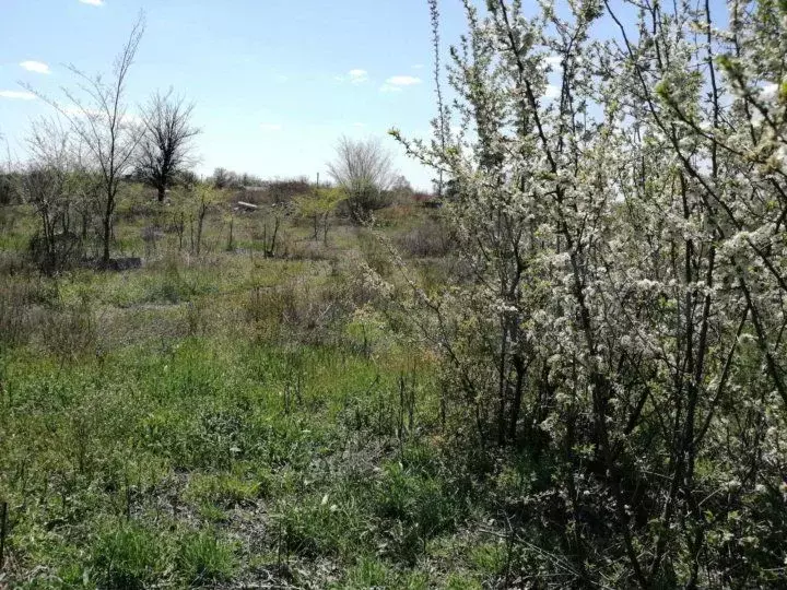 Участок 6 сот. (СНТ, ДНП) - Фото 0