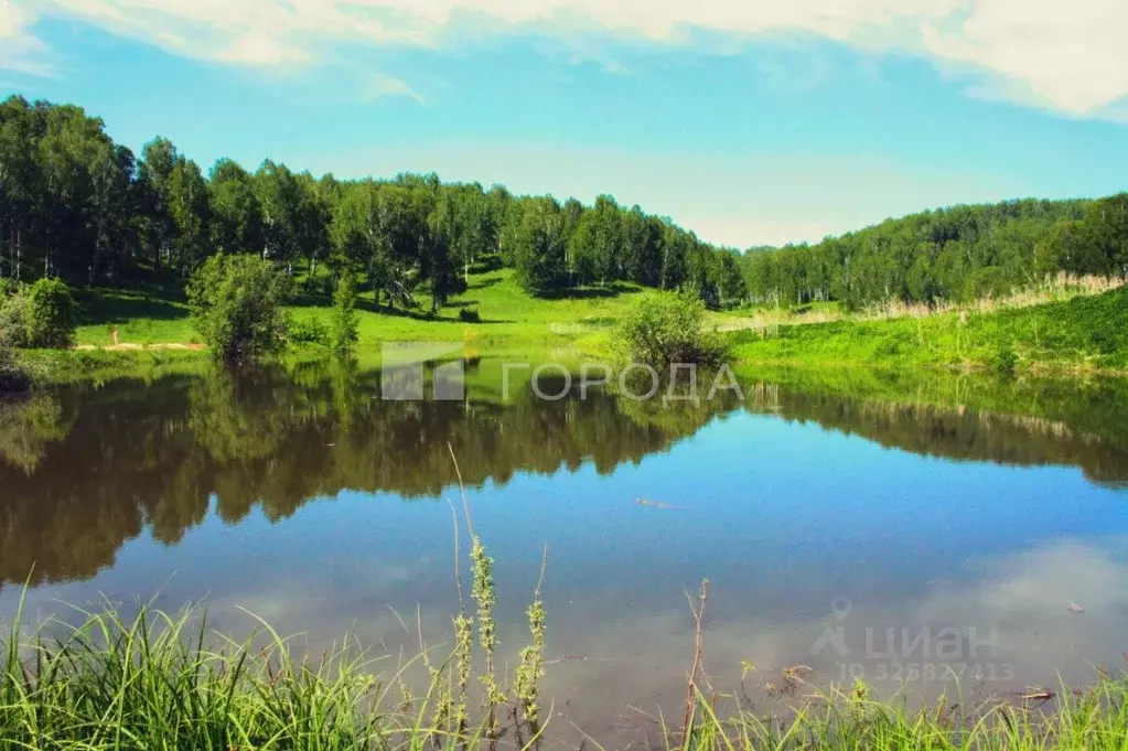 Участок в Новосибирская область, Новосибирский район, Барышевский ... - Фото 2