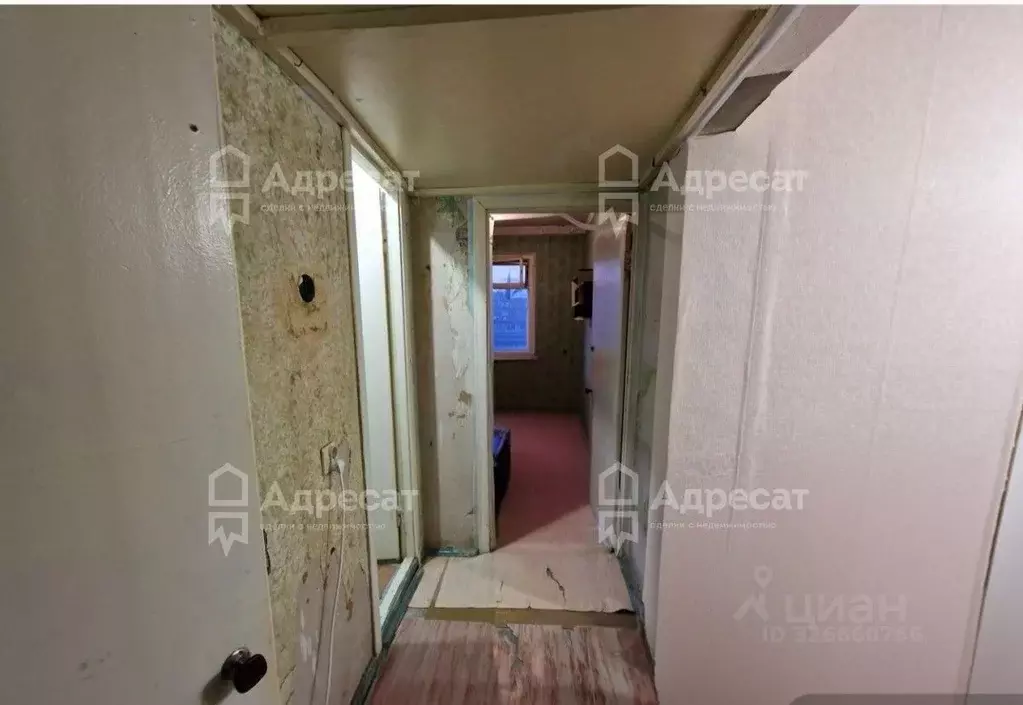 Комната Волгоградская область, Волгоград ул. Генерала Штеменко, 41 ... - Фото 1