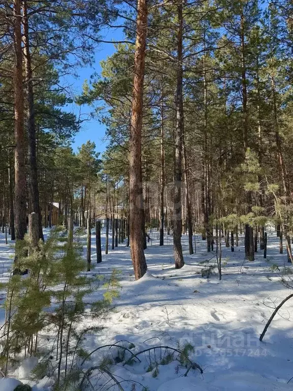 Участок в Саха (Якутия), Якутск Сосновый бор ДСК,  (10.0 сот.) - Фото 1
