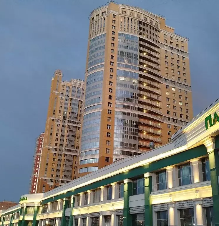 Студия Санкт-Петербург просп. Просвещения, 43 (26.0 м) - Фото 0