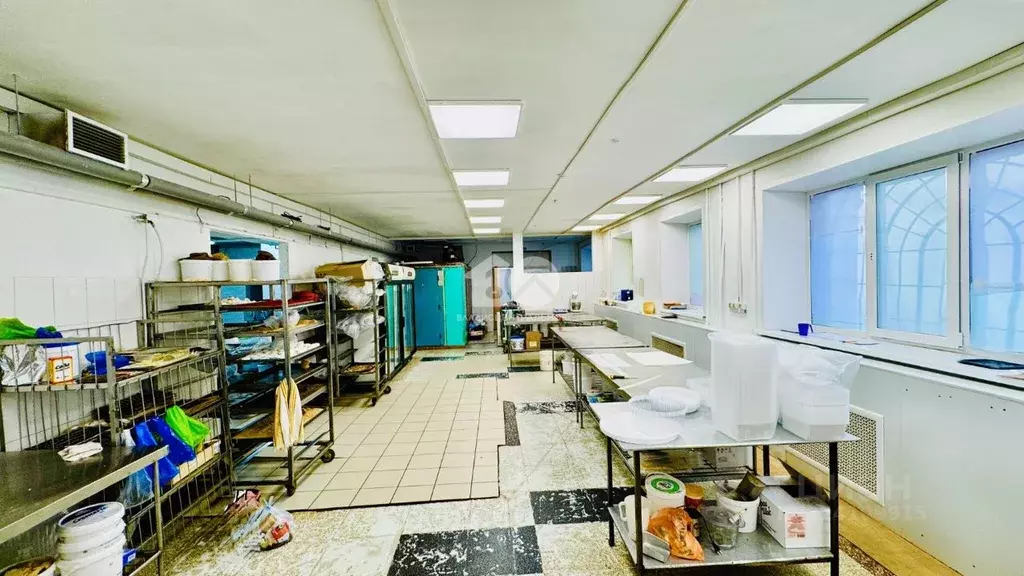 Помещение свободного назначения в Новосибирская область, Новосибирск ... - Фото 1