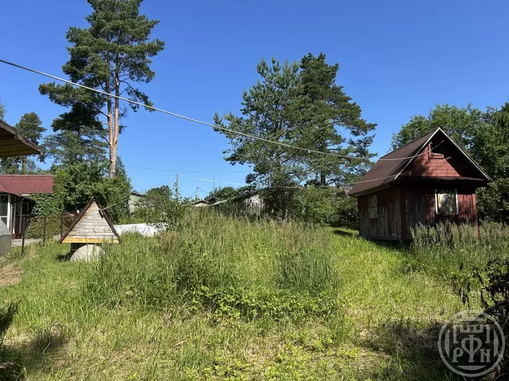 Участок в Ленинградская область, Всеволожский район, Куйвозовское ... - Фото 2