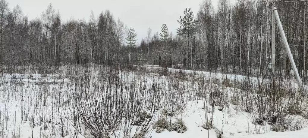 Участок в Ленинградская область, Ломоносовский район, Виллозское ... - Фото 1